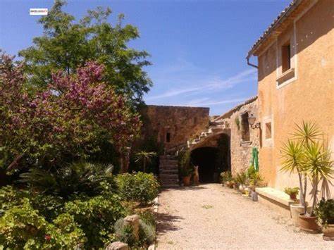 Finca rústica resto en Tales, superficies 749 m2