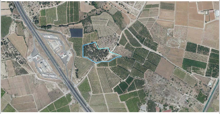Paraje LUCERO o LANZO. Superficie: 2,35 hectáreas. (Torrente, Valencia) - Imagen 4