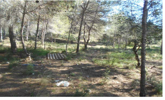 Paraje LUCERO o LANZO. Superficie: 2,35 hectáreas. (Torrente, Valencia) - Imagen 9