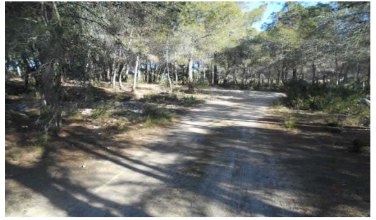 Paraje LUCERO o LANZO. Superficie: 2,35 hectáreas. (Torrente, Valencia) - Imagen 10